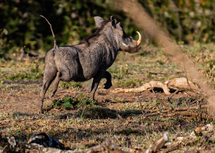 D85_1630-min D85_1630-min