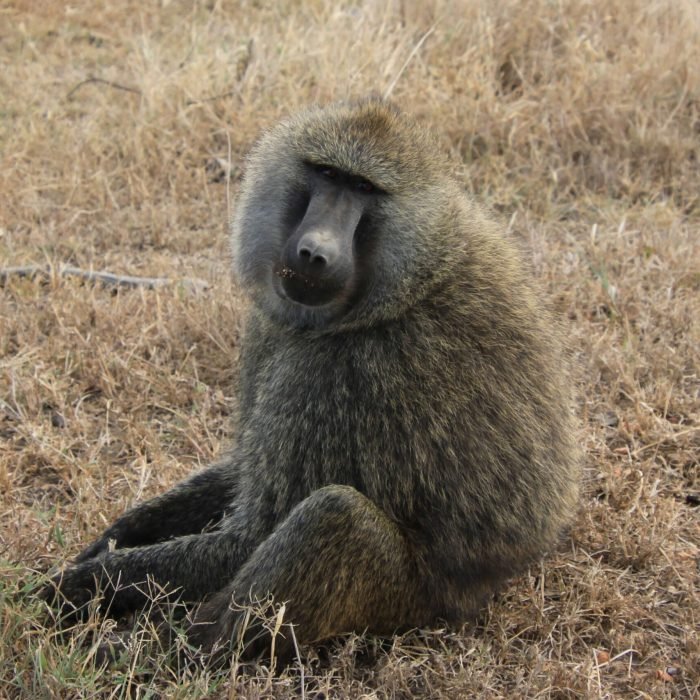 dawn-w-A0ntMEM81lI-unsplash